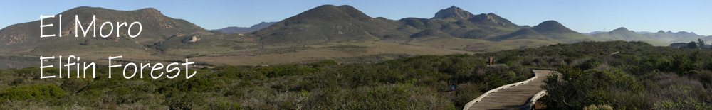 Banner view of Holister Peak