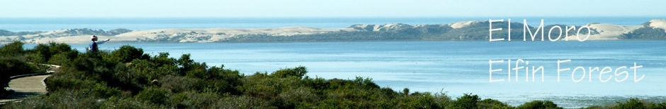 Ocean View